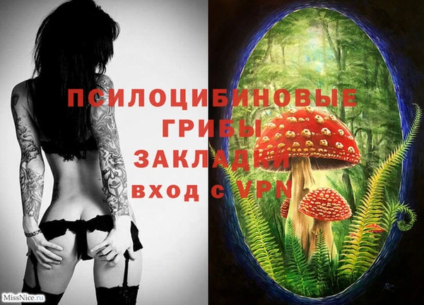 а пвп мука Беломорск