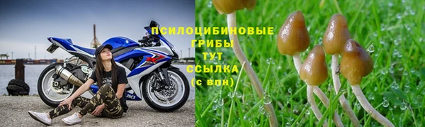 а пвп мука Беломорск