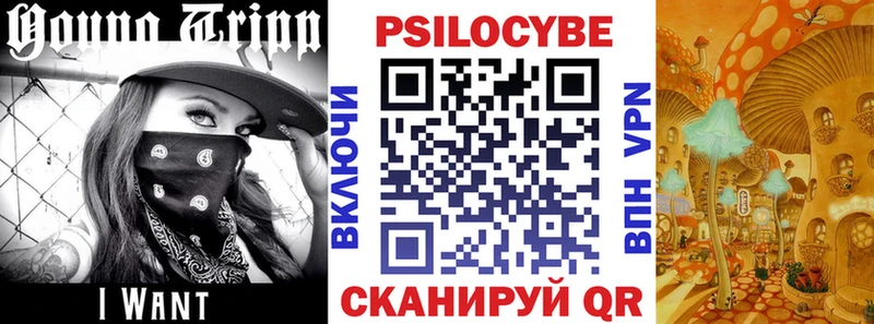 Псилоцибиновые грибы GOLDEN TEACHER  купить закладку  Луховицы 